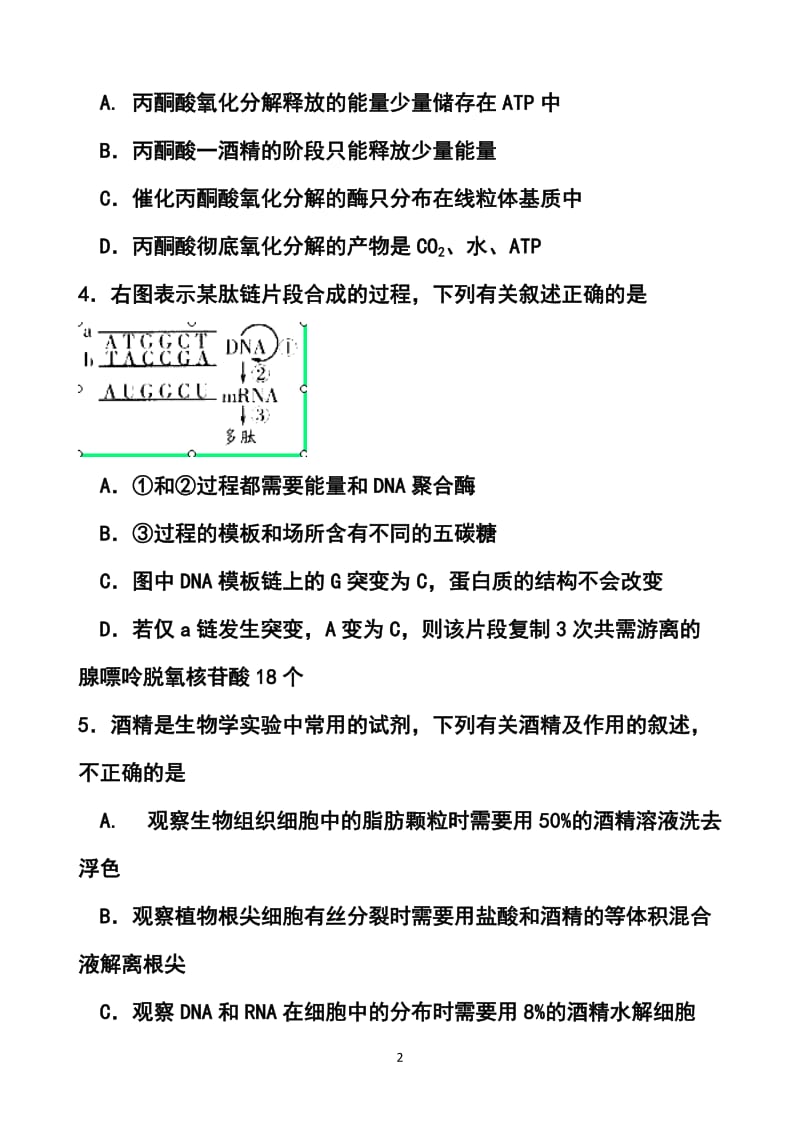 山东省潍坊市高三4月模拟考试生物试题及答案.doc_第2页