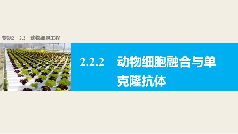 2019-2020学年高二生物人教版选修3课件：专题2 基因工程 2.2.2 .pdf_第1页