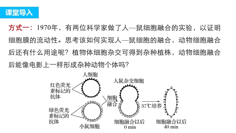 2019-2020学年高二生物人教版选修3课件：专题2 基因工程 2.2.2 .pdf_第3页