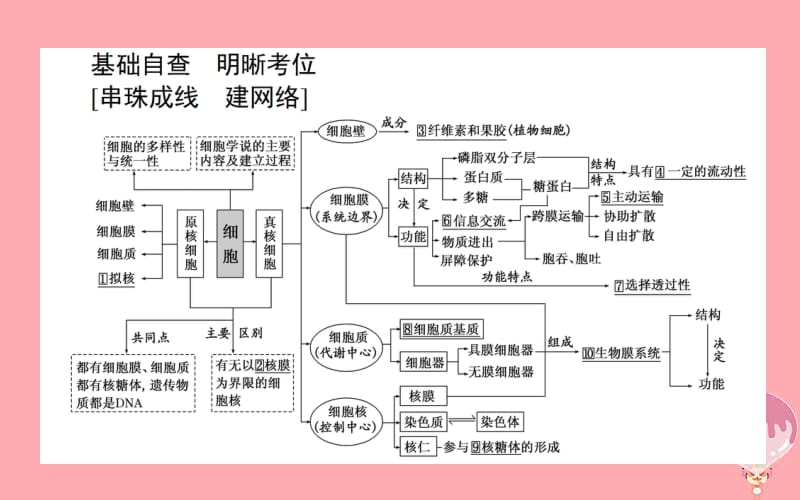 2020年高考生物二轮专题总复习课件：第一部分 整合考点 专题一 生命系统的物质基础和结构基础 1.2 生命系统的结构欧基础课件.pdf_第2页