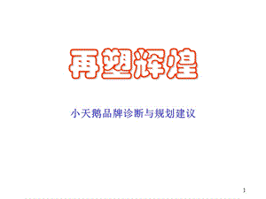 小天鹅品牌诊断与规划建议.ppt