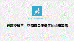 2020版数学人教B版选修2-1课件：第三章 专题突破三 .pdf