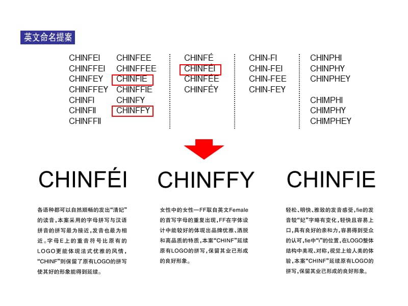 清妃VI品牌整合设计提案.ppt_第3页