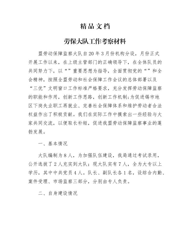 《劳保大队工作考察材料》.docx_第1页