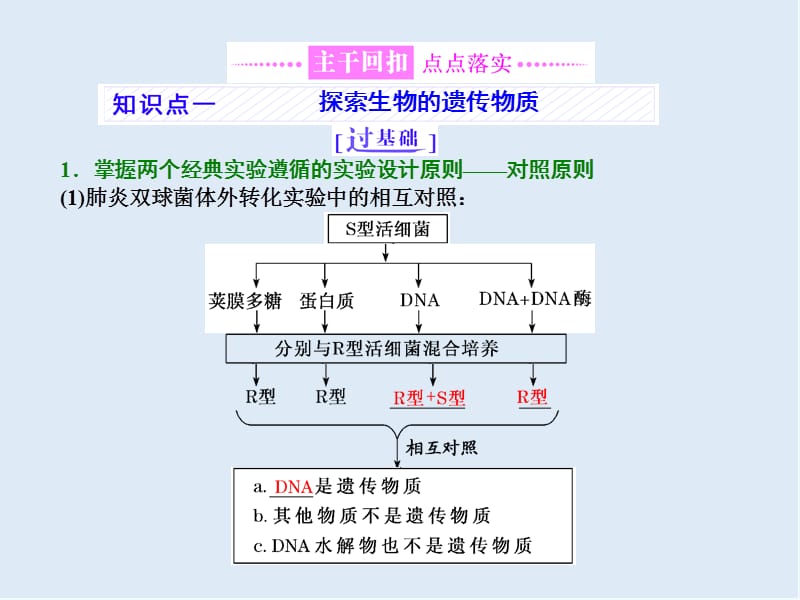 2020年高考生物通用版酷练二轮专题复习课件：专题三 串讲（一） 遗传的分子基础 第1课时 .ppt_第3页