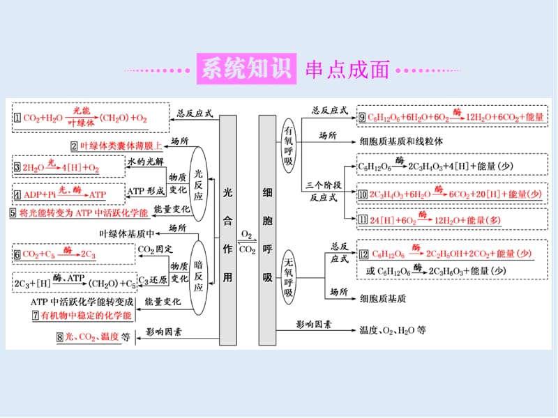 2020年高考生物通用版酷练二轮专题复习课件：专题二 串讲（二） 细胞呼吸与光合作用 第1课时 .ppt_第2页