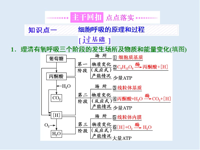 2020年高考生物通用版酷练二轮专题复习课件：专题二 串讲（二） 细胞呼吸与光合作用 第1课时 .ppt_第3页