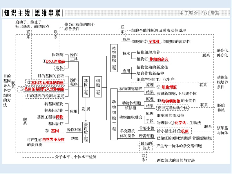 2020版高考生物全国版二轮专题复习配套课件：第九单元 现代生物科技专题 专题一 .ppt_第2页