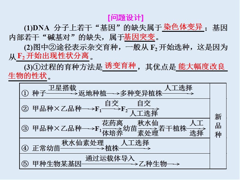 2020年高考生物通用版酷练二轮专题复习课件：专题三 串讲（三） 变异、育种与进化 第2课时 .ppt_第3页