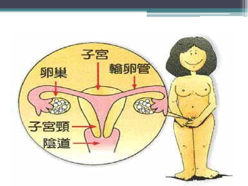 初中女生生理卫生讲座.pptx_第3页