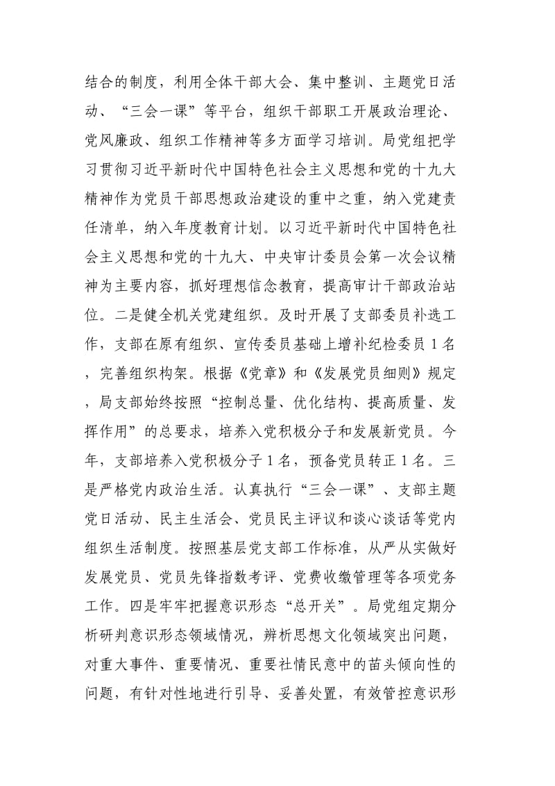 审计局年终工作总结三篇.docx_第2页