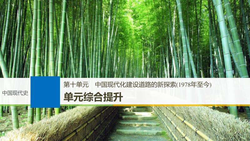 2019届高考一轮复习备考资料之历史人教版课件：第十单元 单元综合提升 .pdf_第1页