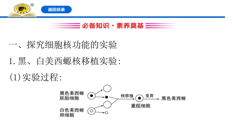 细胞核的结构和功能.pptx_第3页