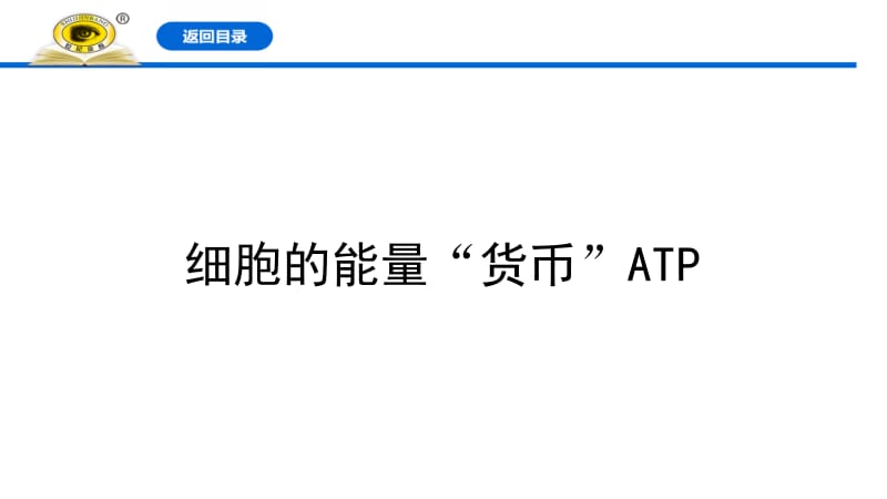 细胞的能量“货币”ATP.pptx_第1页