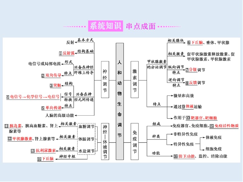 2020年高考生物通用版酷练二轮专题复习课件：专题四 串讲（一） 内环境稳态及调节 第1课时 .ppt_第2页