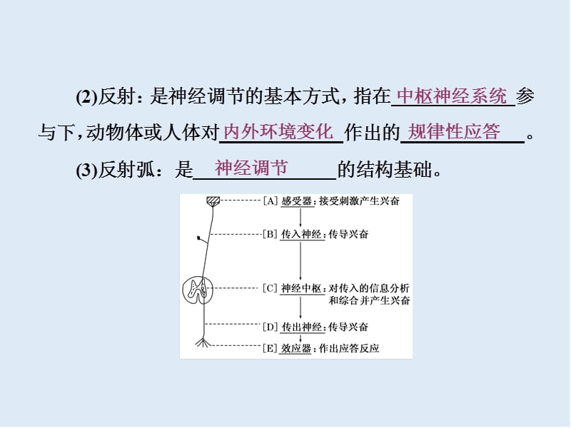 2019-2020学年高中生物苏教版必修三课件：第二章 第二节 第1课时 人体生命活动的神经调节 人脑的高级功能 .ppt_第3页