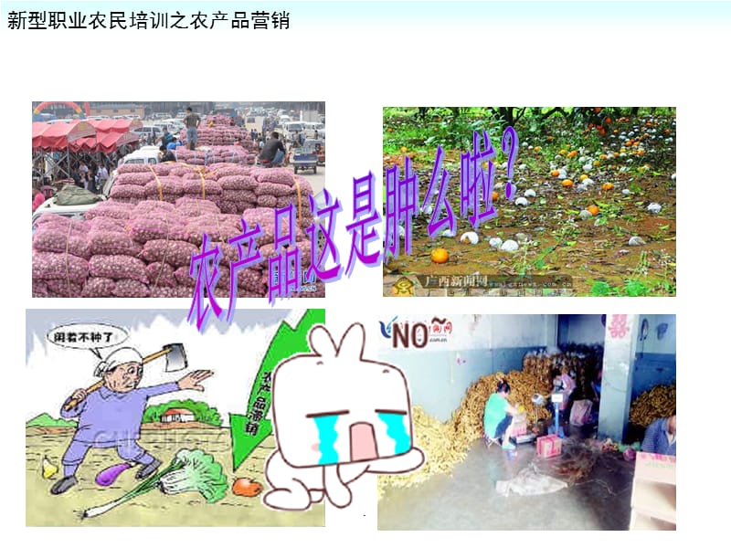 农产品市场营销.ppt_第3页