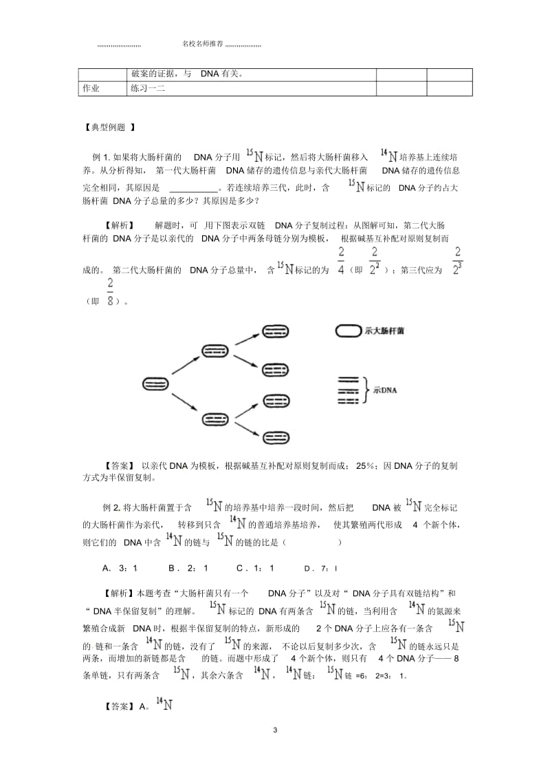 高中生物3.3DNA的复制新课教学过程一新人教版必修2.docx_第3页