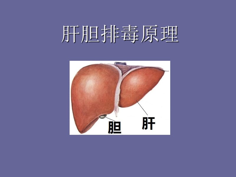 肝胆排毒原理.ppt_第1页