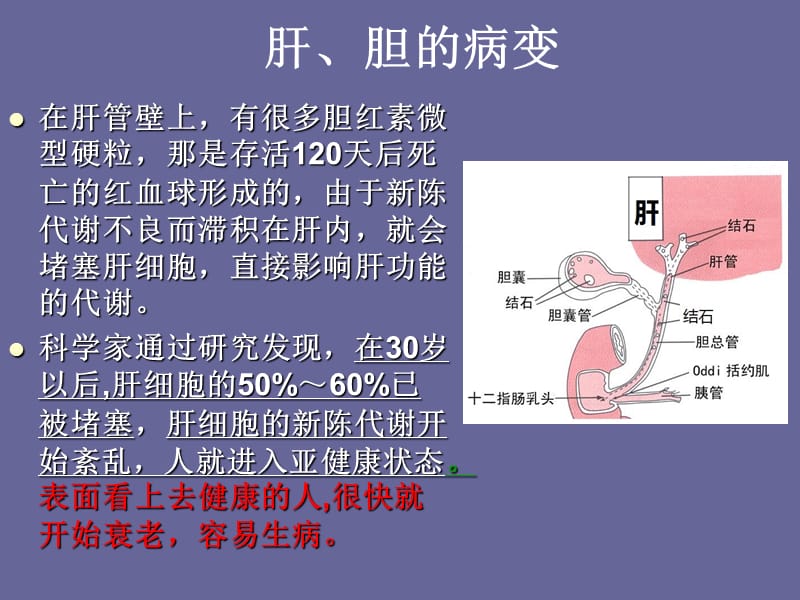 肝胆排毒原理.ppt_第3页