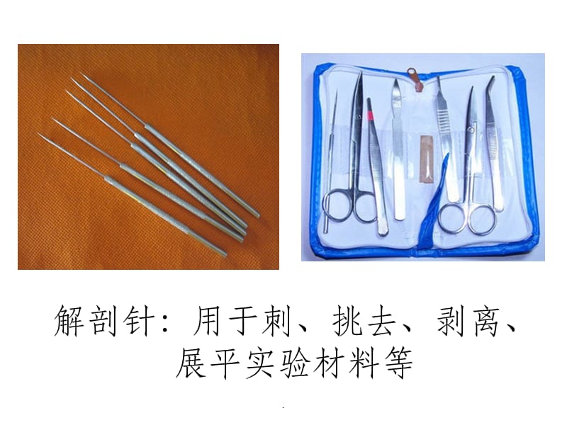 生物实验室中常用的其他实验器具.ppt_第3页