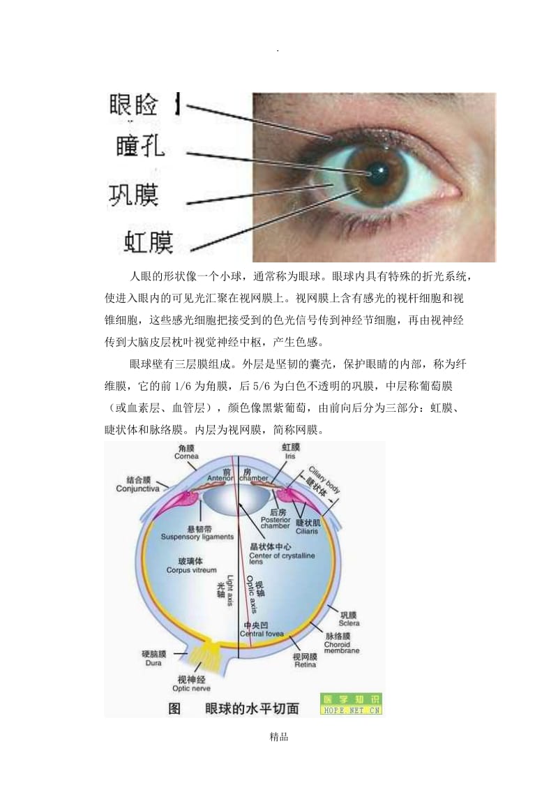 人眼成像原理.doc_第3页