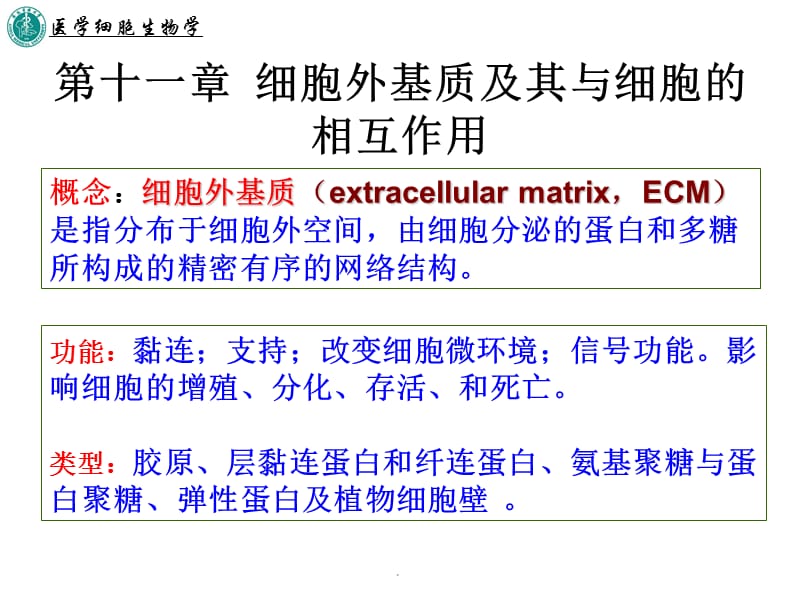 第十一章 细胞外基质及其与细胞的相互作用.ppt_第1页