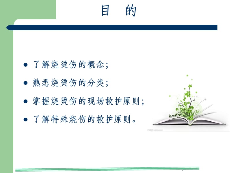 烧烫伤的院前急救.ppt_第2页