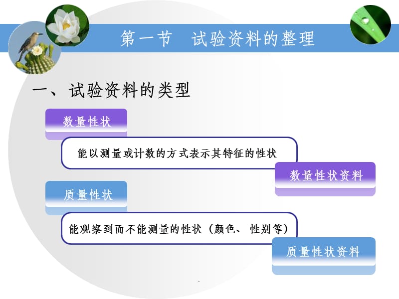 生物统计学02试验资料的整理和特征数的计算.ppt_第2页