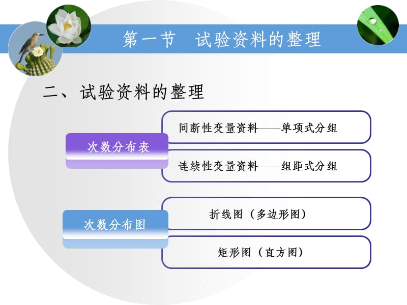 生物统计学02试验资料的整理和特征数的计算.ppt_第3页