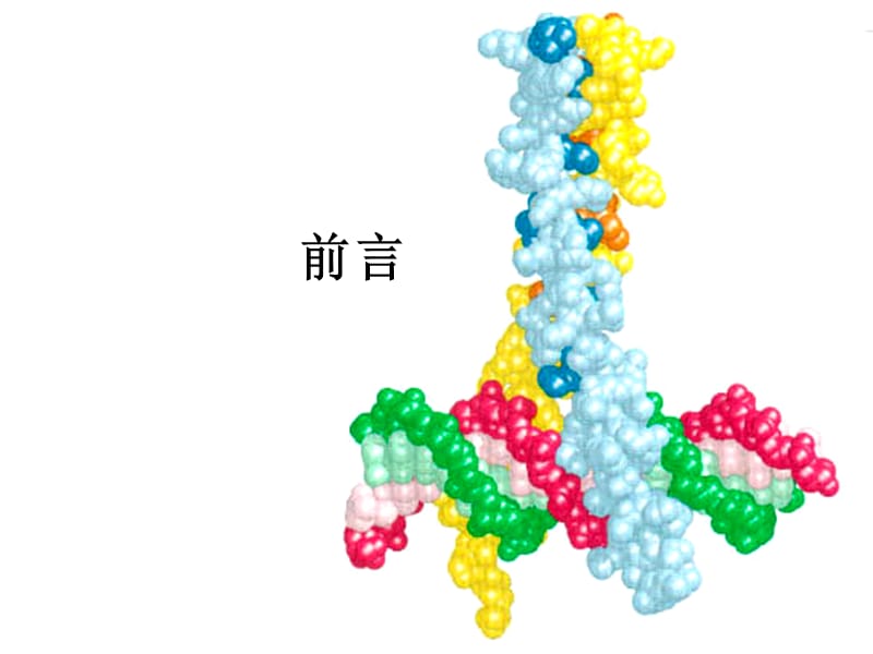 第六章原核生物基因表达调控.ppt_第2页