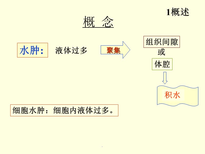 第三章水肿..ppt_第3页