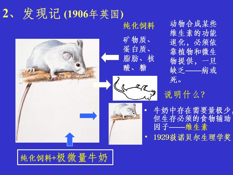 生物化学 第4章：维生素与辅酶.ppt_第3页