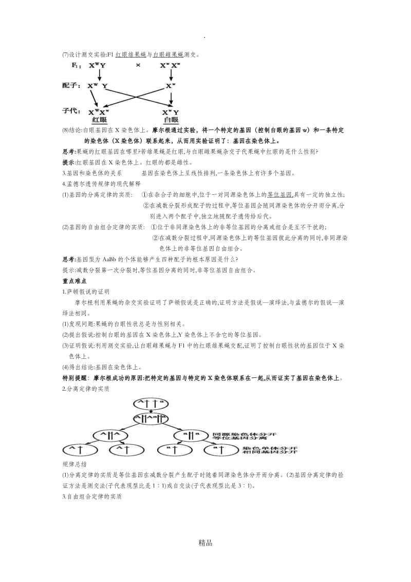 基因在染色体上教案.doc_第2页