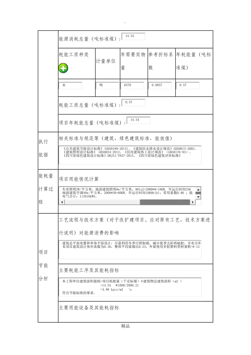 固定资产投资技术改造投项目能耗统计表.doc_第2页