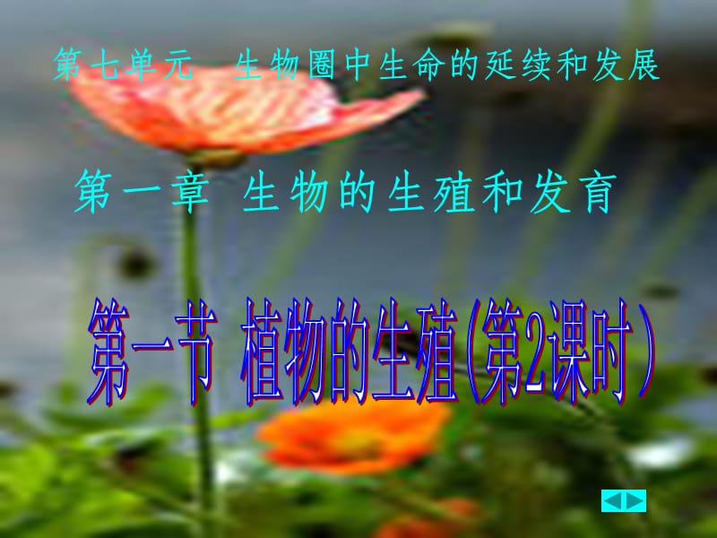 植物的生殖最新版.ppt_第1页