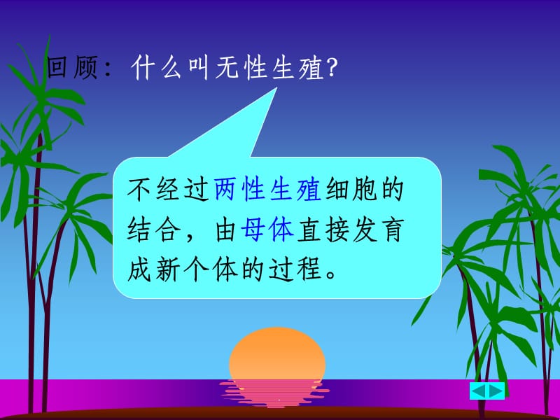 植物的生殖最新版.ppt_第3页