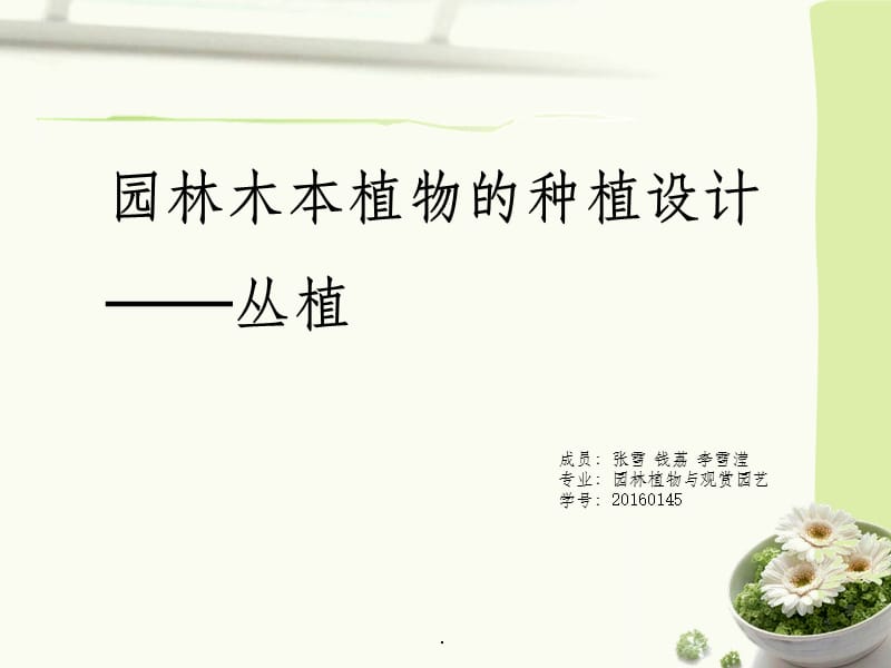 植物种植设计——丛植.ppt_第1页