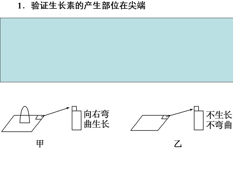 植物激素相关的实验设计.ppt_第2页