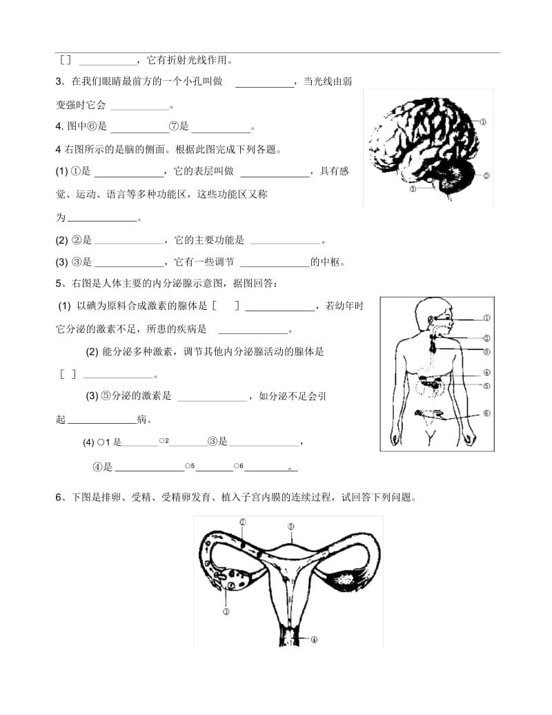 七年级生物下册识图题.docx_第3页