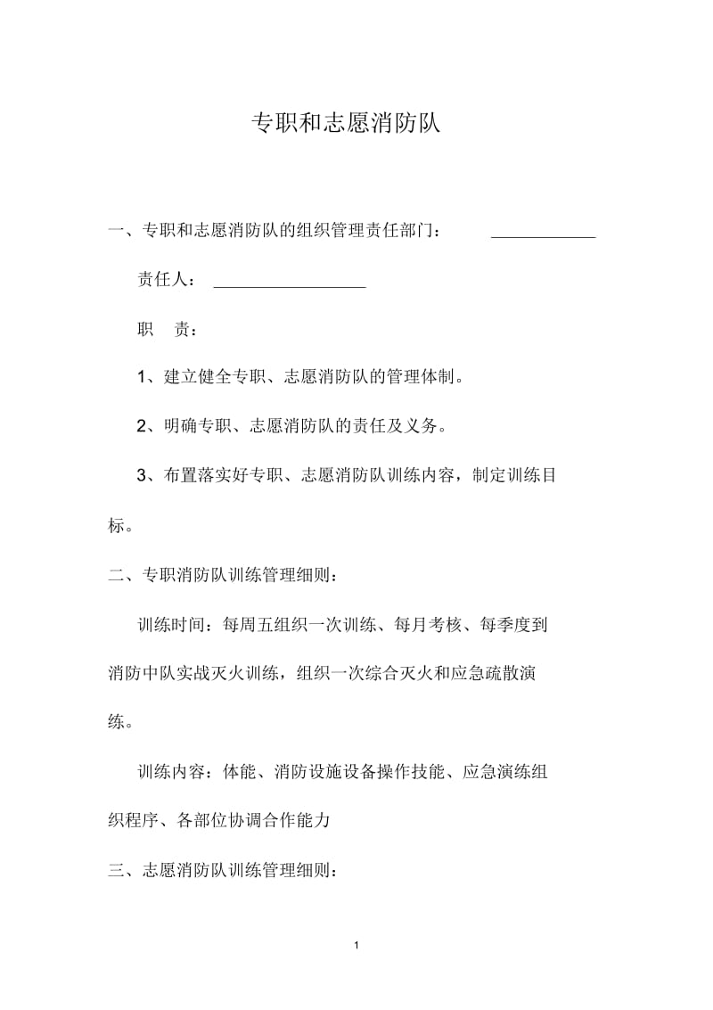 专职和志愿消防队建设(最终版).docx_第1页