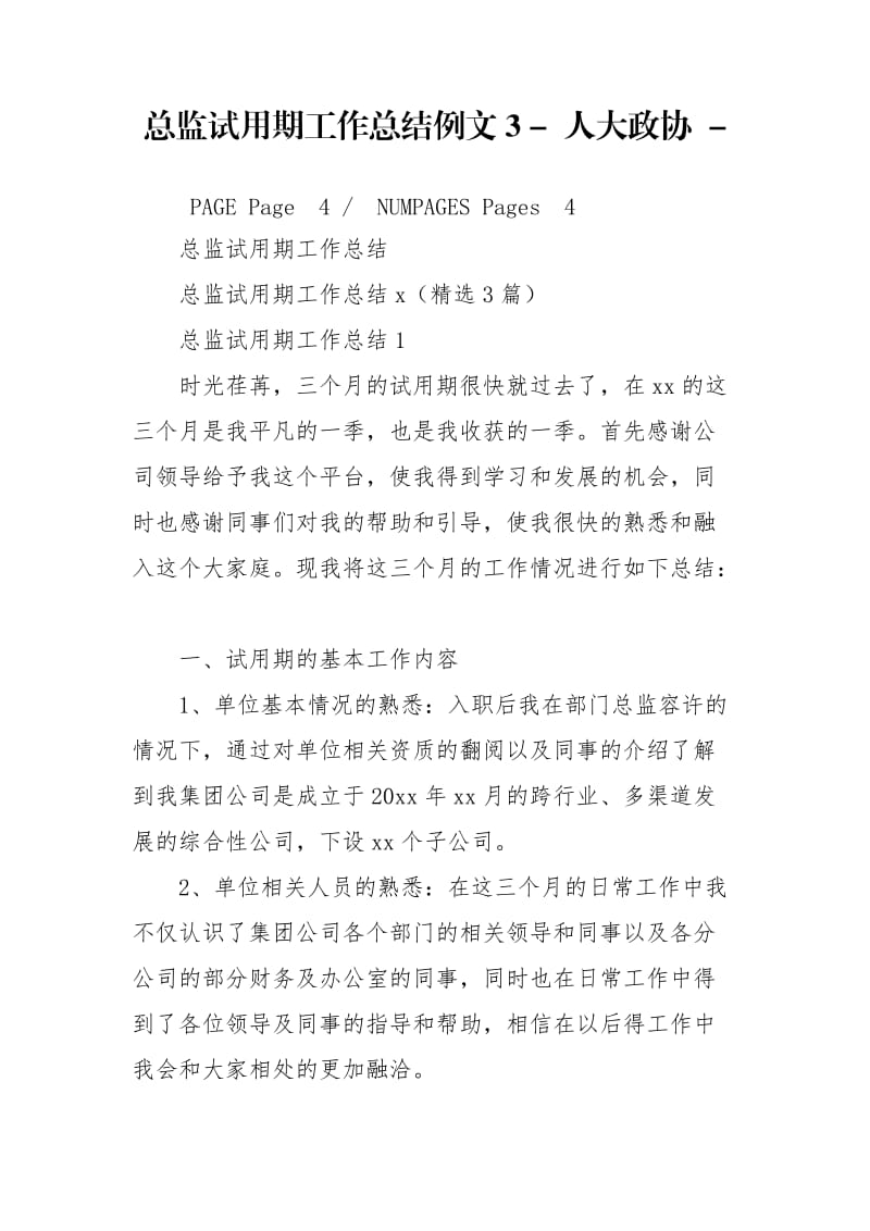 总监试用期工作总结例文3 - 人大政协 - .doc_第1页