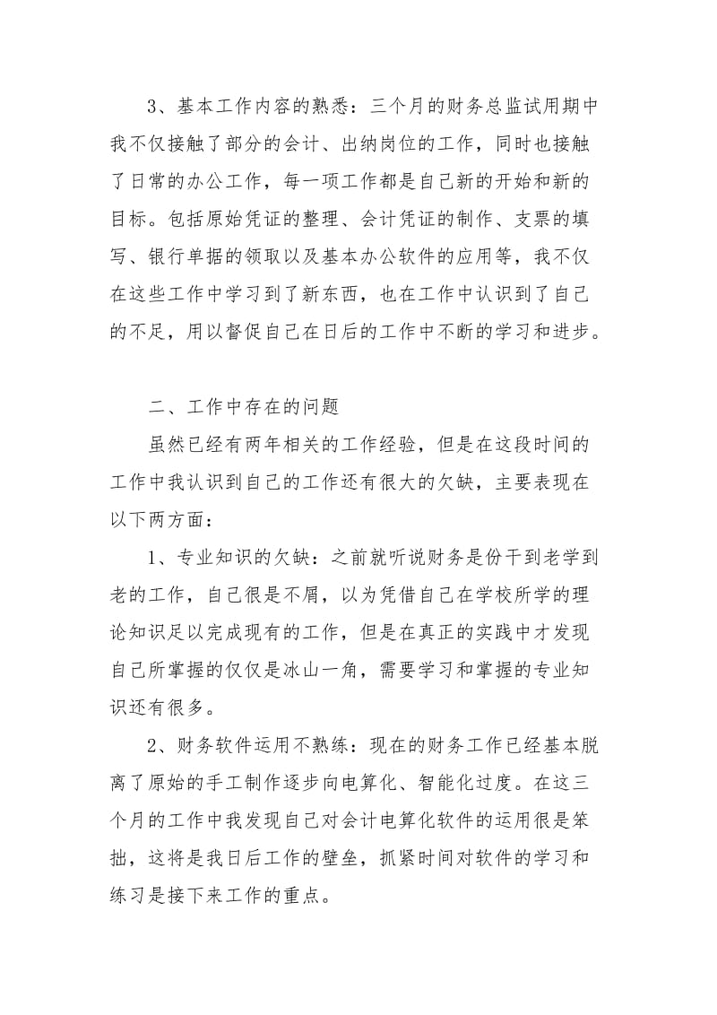 总监试用期工作总结例文3 - 人大政协 - .doc_第2页