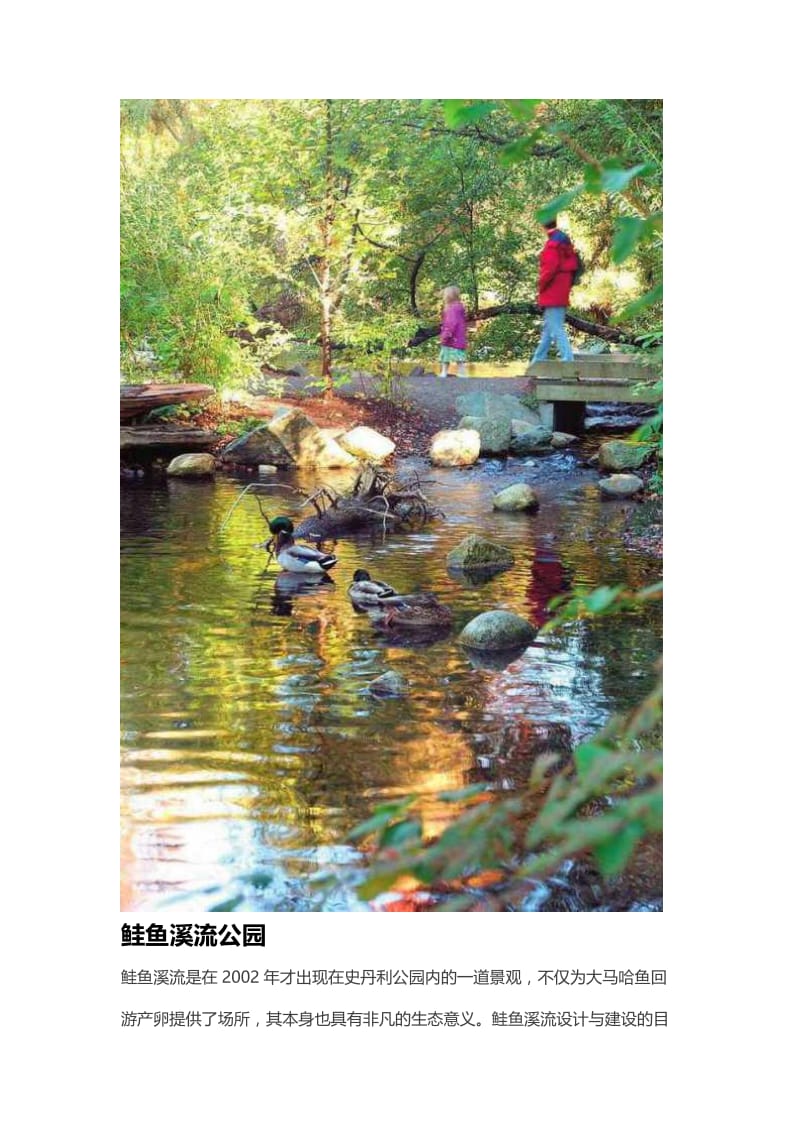 鲑鱼溪流公园滨水景观设计案例；.docx_第1页