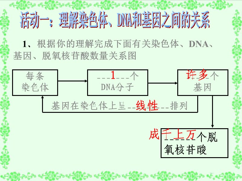 基因是具有遗传效应的DNA片段.ppt_第2页