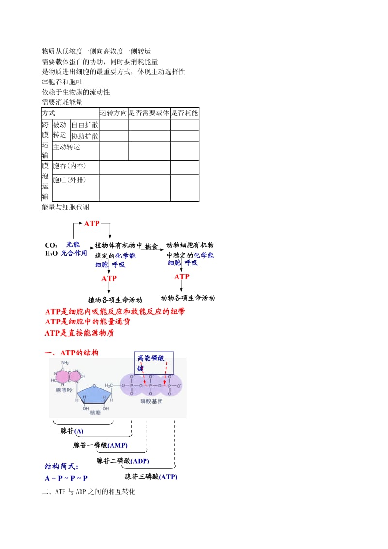 1物质的输入输出及能量与ATP.doc_第2页