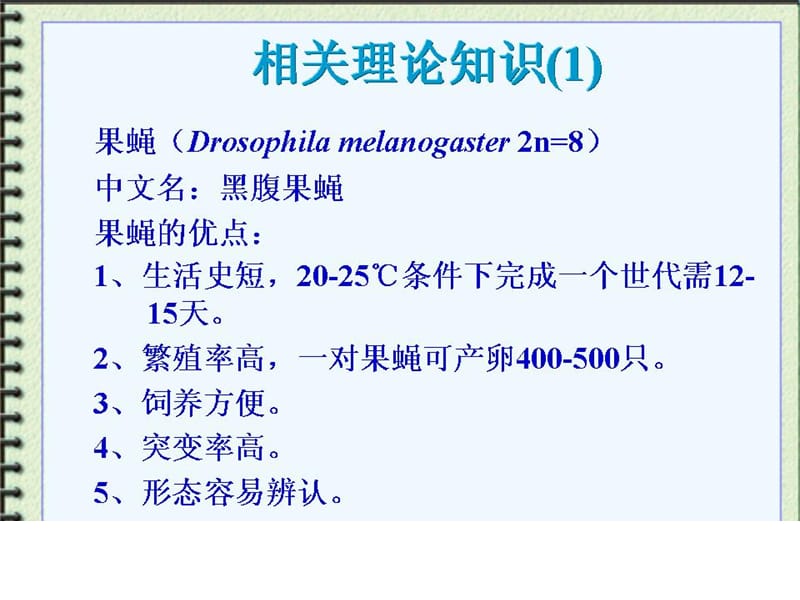 果蝇的遗传实验.ppt_第3页