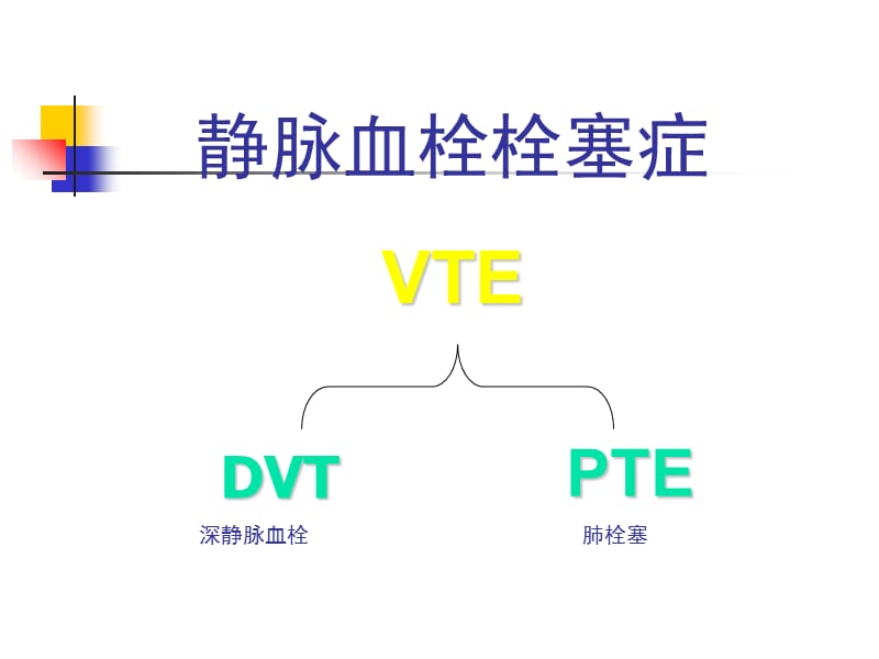 下肢静脉血栓形成机制.ppt_第2页