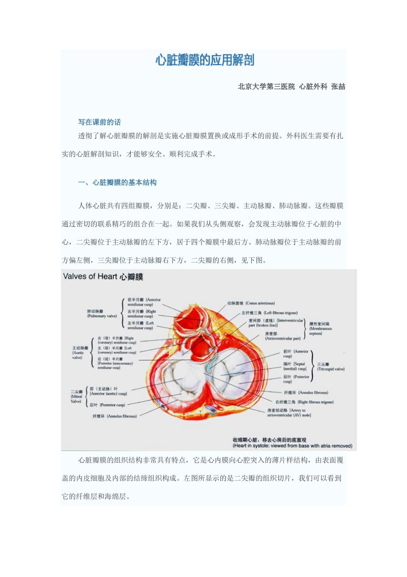 1 心脏瓣膜的应用解剖.doc_第1页