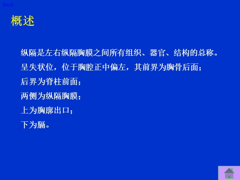 纵隔的解剖.ppt_第3页